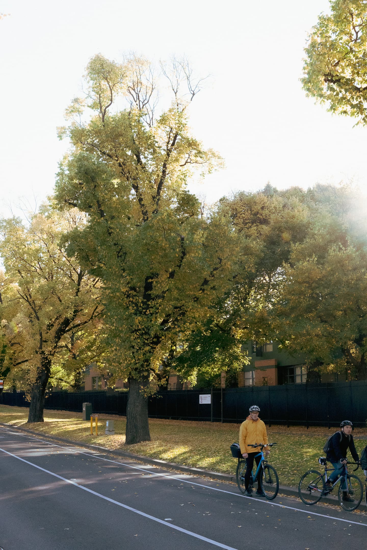 A tree-lined street with one person walking and another on a bicycle, both near the roadside, with autumn foliage visible on the trees