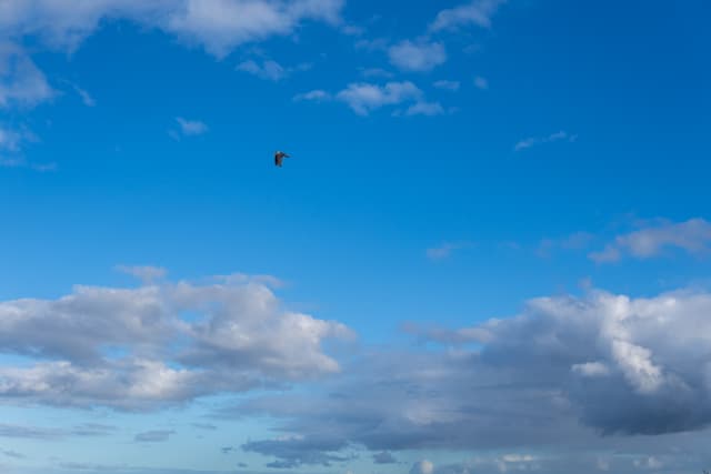 A clear blue sky with scattered clouds and a small bird flying high